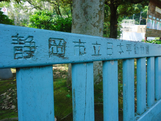 シロクマ73日本平動物園ロッシー&バニラ2012｜ホッキョクグマと三角コーン