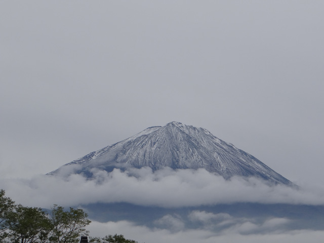 番外写真館富士山初冠雪1｜ホッキョクグマと三角コーン