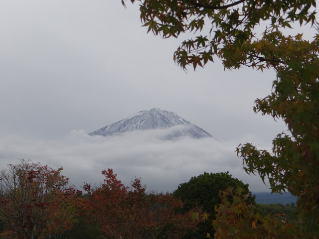 番外写真館富士山初冠雪5｜ホッキョクグマと三角コーン