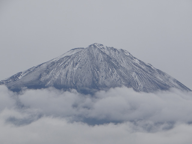 番外写真館富士山初冠雪9｜ホッキョクグマと三角コーン