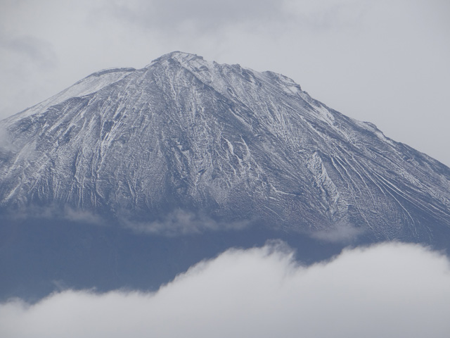 番外写真館富士山初冠雪10｜ホッキョクグマと三角コーン