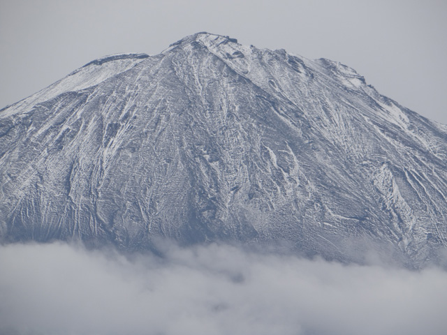 番外写真館富士山初冠雪11｜ホッキョクグマと三角コーン