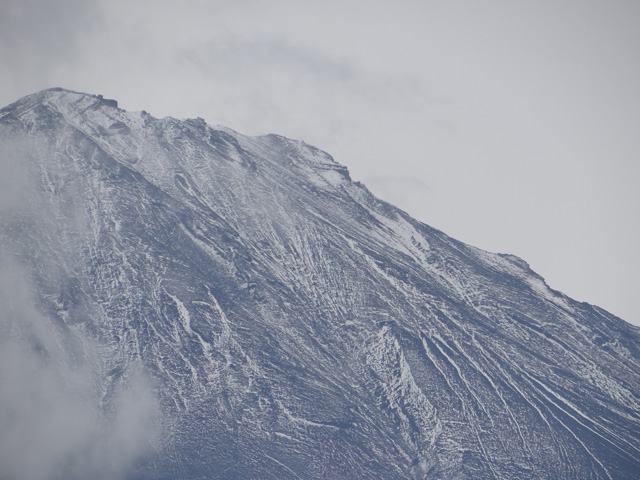 番外写真館富士山初冠雪14｜ホッキョクグマと三角コーン