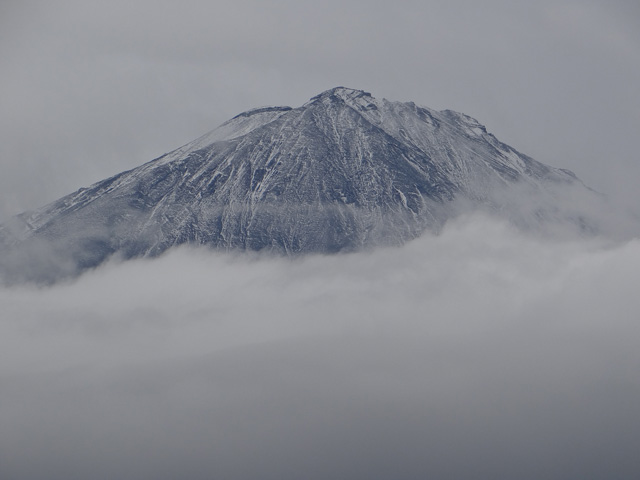 番外写真館富士山初冠雪21｜ホッキョクグマと三角コーン