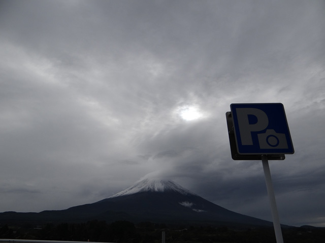 番外写真館富士山初冠雪22｜ホッキョクグマと三角コーン