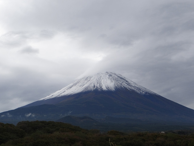 番外写真館富士山初冠雪24｜ホッキョクグマと三角コーン