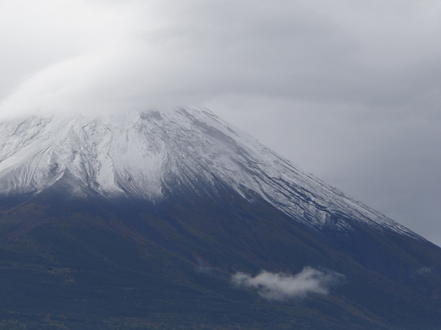 番外写真館富士山初冠雪28｜ホッキョクグマと三角コーン
