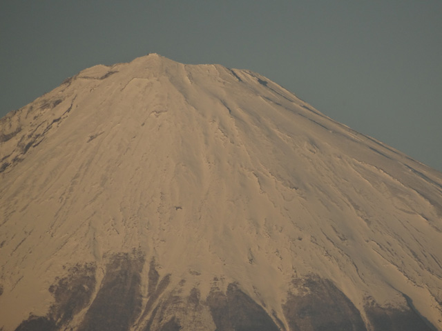 2013年元旦の富士山23｜ホッキョクグマと三角コーン