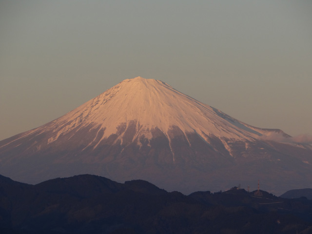 2013年元旦の富士山26｜ホッキョクグマと三角コーン