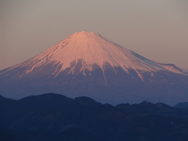 2013年元旦の富士山27｜ホッキョクグマと三角コーン