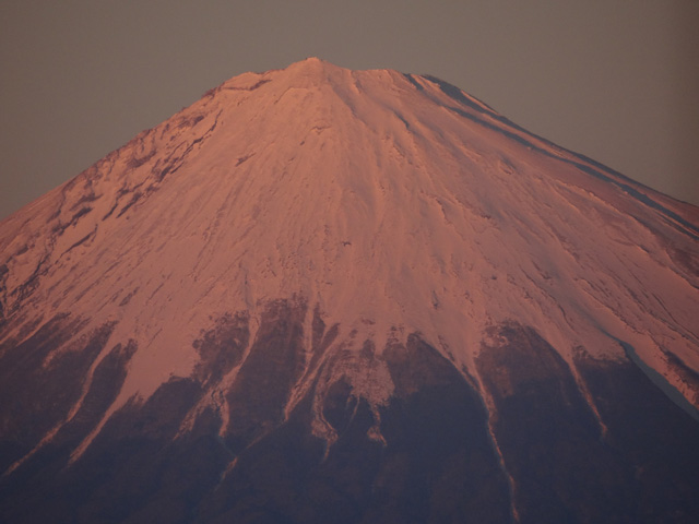 2013年元旦の富士山28｜ホッキョクグマと三角コーン
