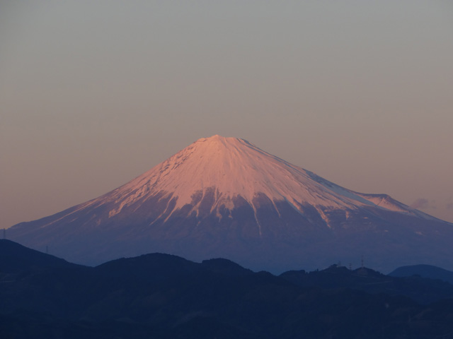 2013年元旦の富士山29｜ホッキョクグマと三角コーン