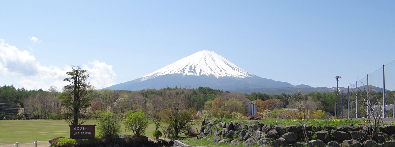 番外写真館初夏の富士山麓23｜ホッキョクグマと三角コーン