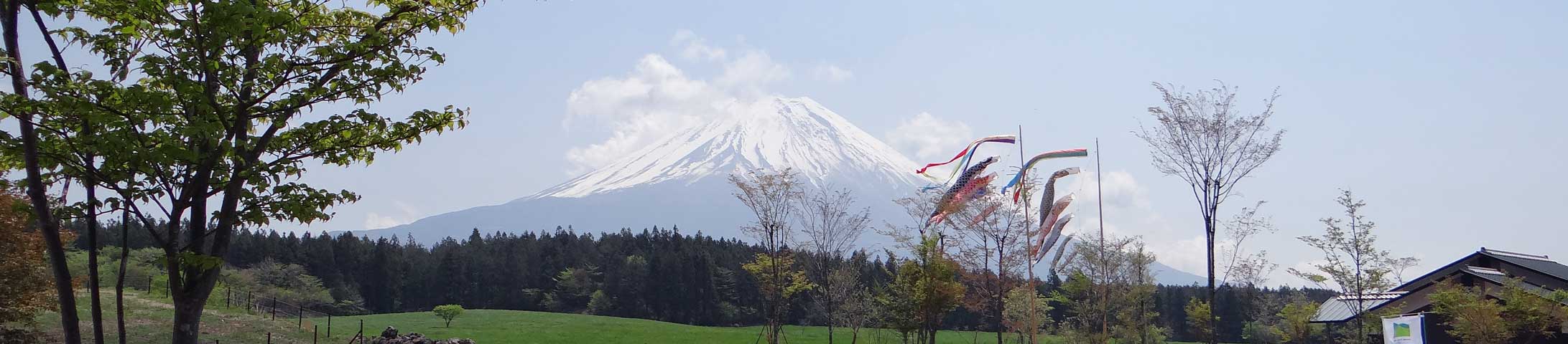 番外写真館初夏の富士山麓5｜ホッキョクグマと三角コーン