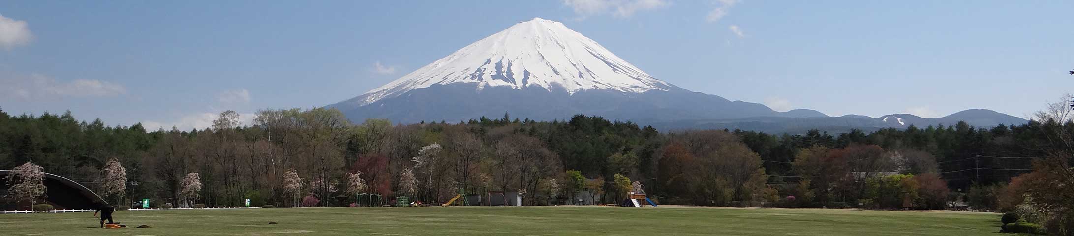 番外写真館初夏の富士山麓6｜ホッキョクグマと三角コーン