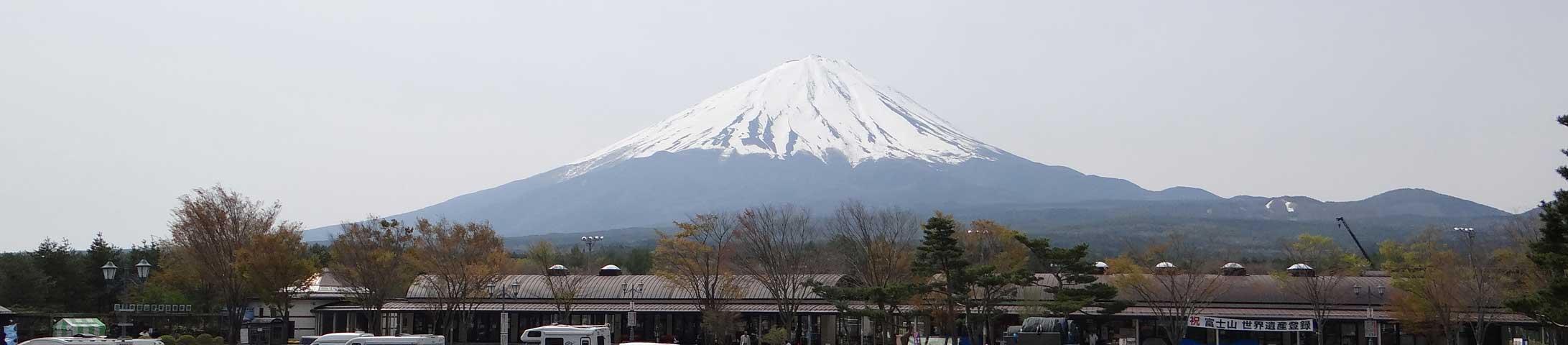 番外写真館初夏の富士山麓7｜ホッキョクグマと三角コーン