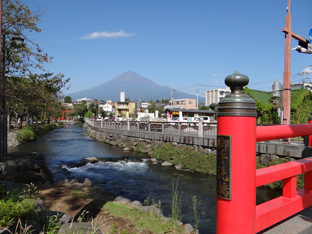 番外写真館秋の富士山17｜ホッキョクグマと三角コーン