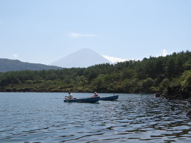 番外写真館秋の富士山15｜ホッキョクグマと三角コーン