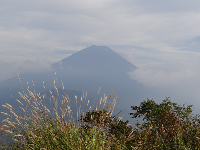 番外写真館秋の富士山2｜ホッキョクグマと三角コーン