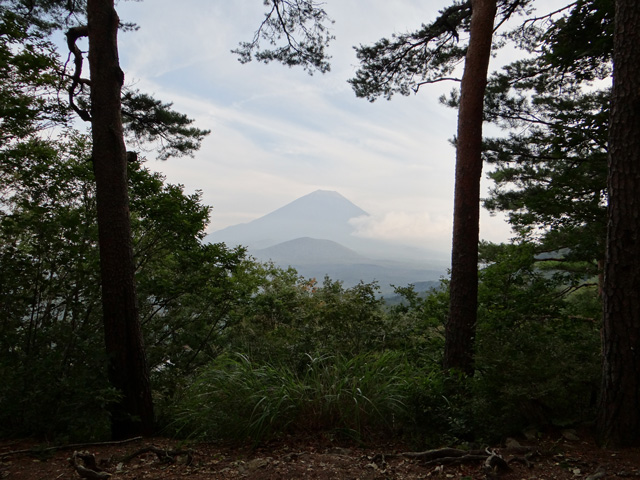 番外写真館秋の富士山4｜ホッキョクグマと三角コーン