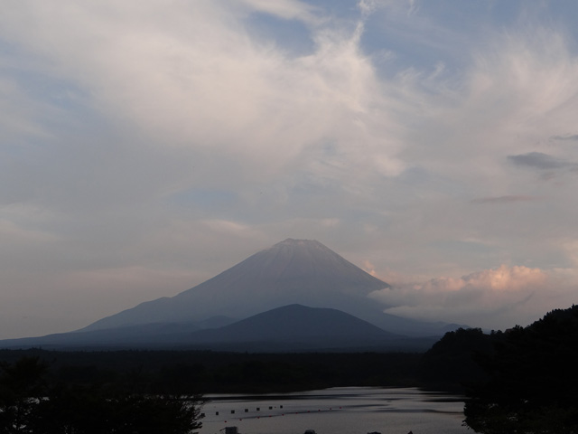 番外写真館秋の富士山7｜ホッキョクグマと三角コーン