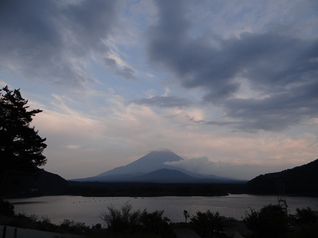 番外写真館秋の富士山8｜ホッキョクグマと三角コーン