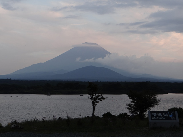 番外写真館秋の富士山9｜ホッキョクグマと三角コーン