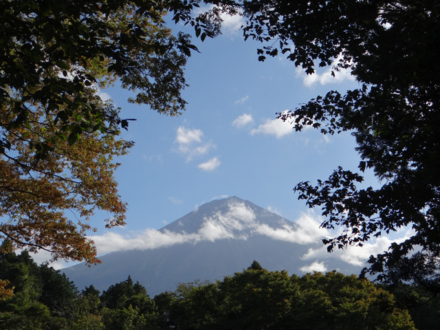 番外写真館秋の富士山24｜ホッキョクグマと三角コーン