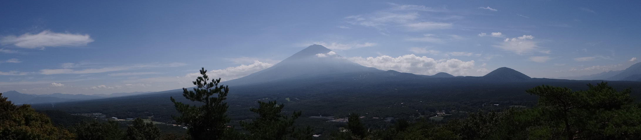 番外写真館秋の富士山25｜ホッキョクグマと三角コーン