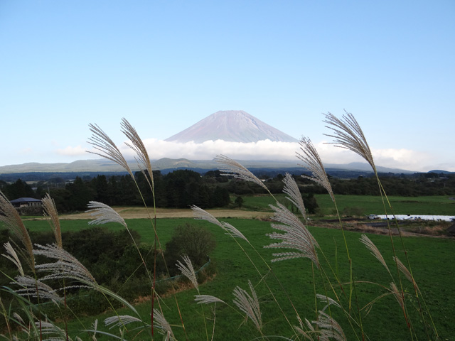 番外写真館秋の富士山19｜ホッキョクグマと三角コーン