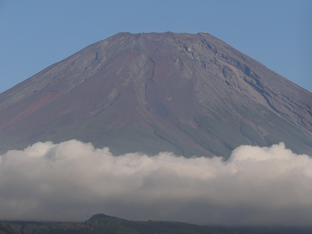 番外写真館秋の富士山20｜ホッキョクグマと三角コーン