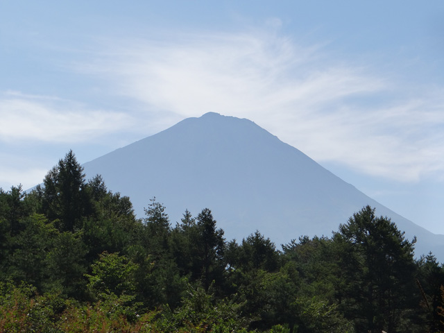 番外写真館秋の富士山13｜ホッキョクグマと三角コーン