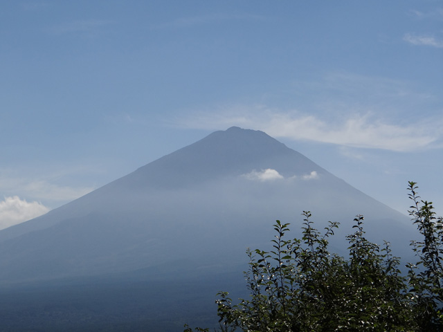 番外写真館秋の富士山14｜ホッキョクグマと三角コーン