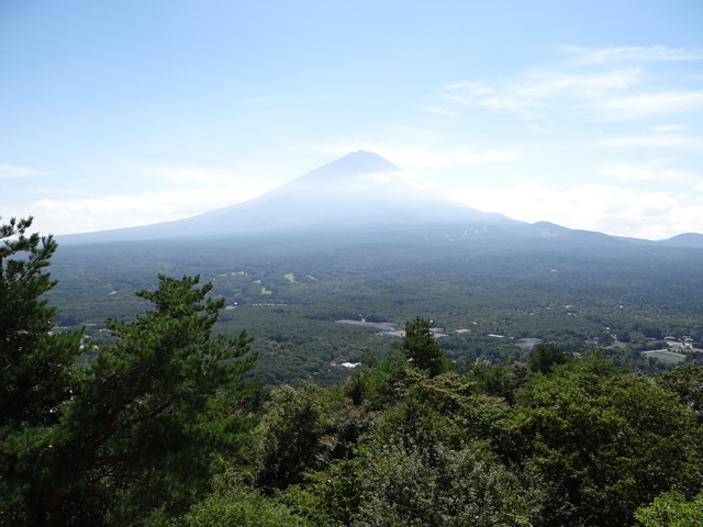 番外写真館秋の富士山11｜ホッキョクグマと三角コーン