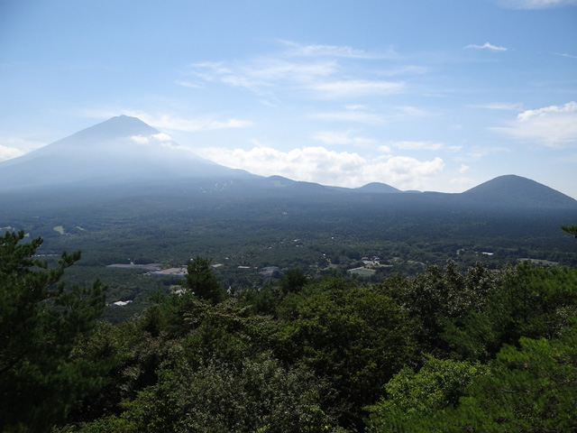 番外写真館秋の富士山12｜ホッキョクグマと三角コーン