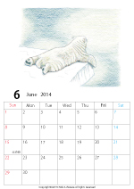 2014年オリジナルカレンダー1-6｜ホッキョクグマと三角コーン
