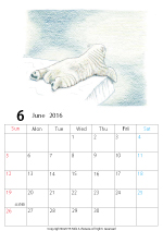 2015年オリジナルカレンダー1-6｜ホッキョクグマと三角コーン